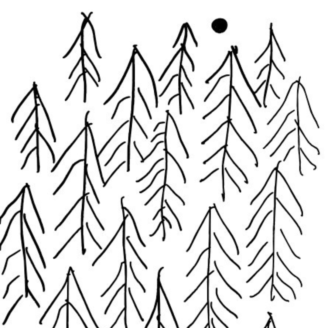 Illustrasjonstegning
